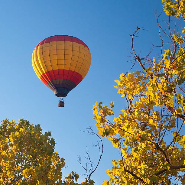 A hot air balloon floating over autumn trees.