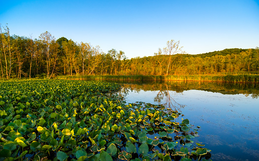 Beaver Marsh in Cuyahoga Valley National Park, between Cleveland and Akron