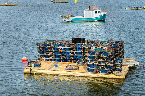 istock Lobster Pots on a Pontoon 615602630