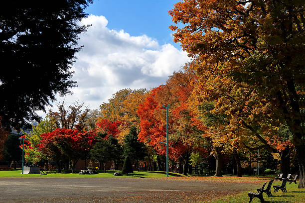 istock Autumn leaves and side-by-side bench 615604358