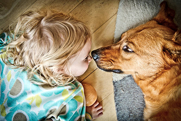 istock Child_Nose_Dog_Nose 615606156