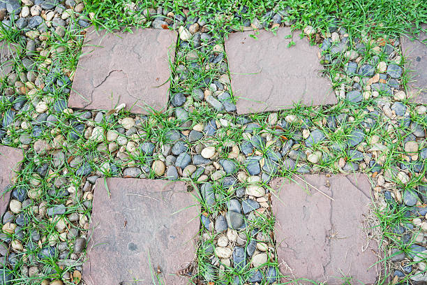istock close up square block pavement in the park 615608636
