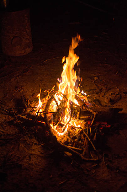 istock coals of a campfire in the forest 615610480