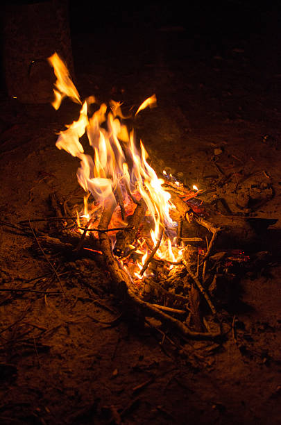 istock coals of a campfire in the forest 615610534