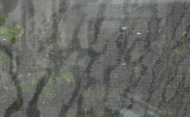 istock stain on mosquito net texture and background 615611834