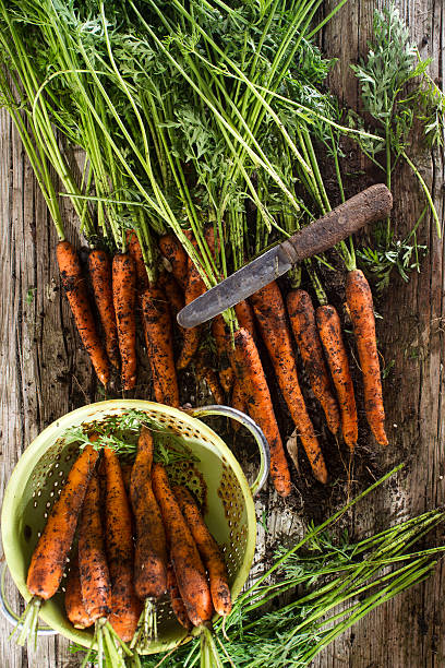 istock Clean a bunch of carrots 615612956