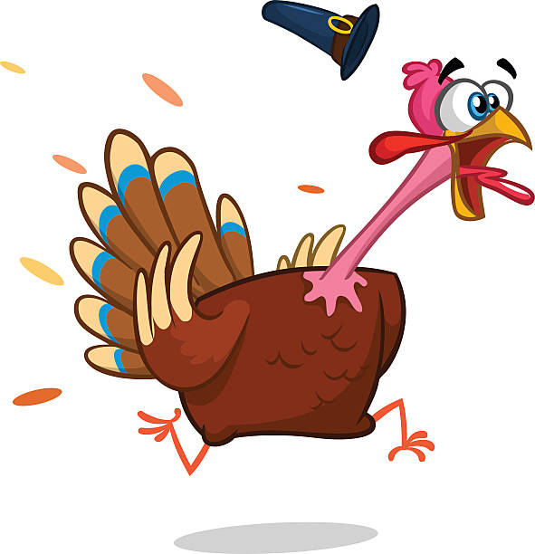 Turkey Escape Cartoon Mascot Character. Vector Illustration Isolated Turkey Escape Cartoon Mascot Character. Vector Illustration Isolated on white thanksgiving full stock illustrations