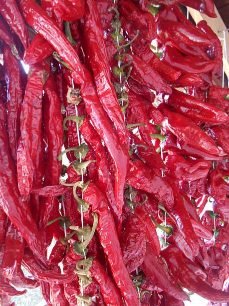 istock dried red chili peppers strung on twine 615616266