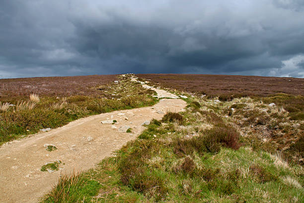 istock Pathway illuminated by the sun with storm clouds in background 615618794