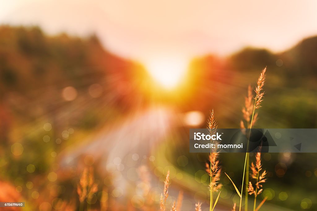 Beautiful sunrise landscape in high mountain road Sun ray landscape  in high mountain road and bokeh Nature Stock Photo