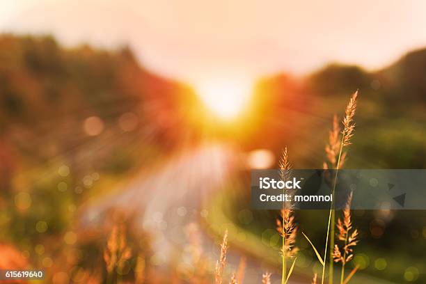 Beautiful Sunrise Landscape In High Mountain Road Stock Photo - Download Image Now - Nature, Sunrise - Dawn, Landscape - Scenery