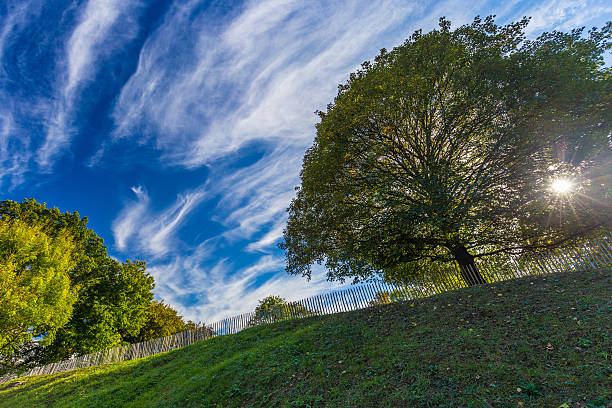 istock Autumnal trees and dramatic blue polarised sky, Namur, Belgium 615621334