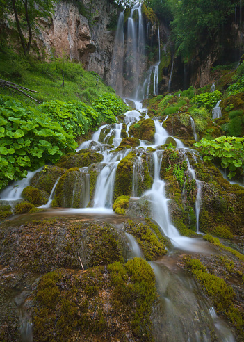 Beautiful waterfalls and cascades in woods at cloudy morning. Travel destination Sopotnica, Serbia.