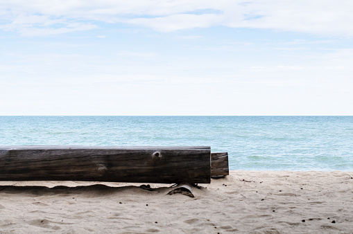 Log Tree Chairs For Sitting On Beach With Ocean And Clear Skyscape View