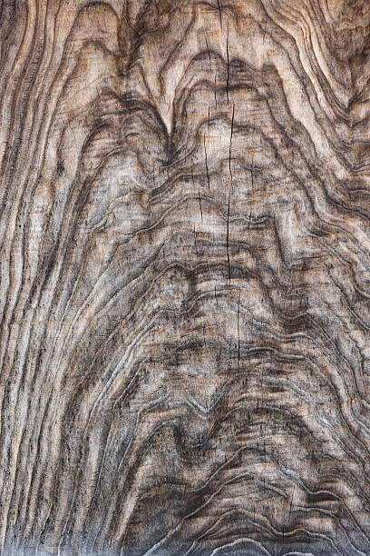istock Close-up of wood grain 615624520