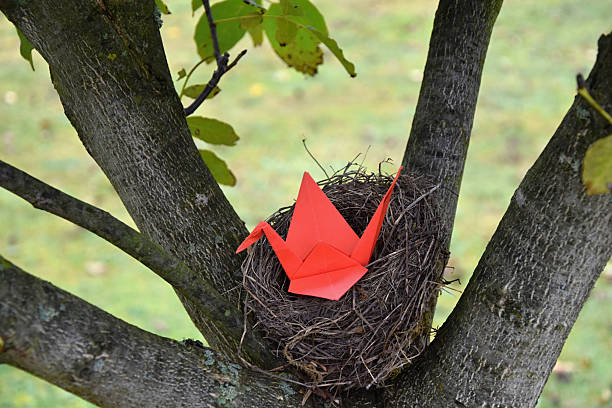 istock Origami paper in Nature, Cranes nest in a tree. 615625304