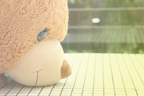 istock Face of Bear doll on table against window view 615626030