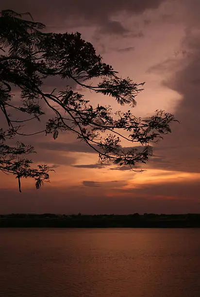 a sunset at the Mekong river in the town of Savannakhet in central Lao in the region of Khammuan in Lao in Souteastasia.