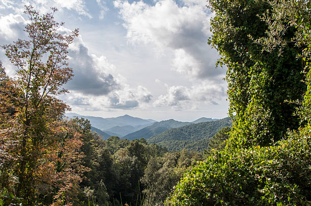 istock Corsica in autumn 615629116