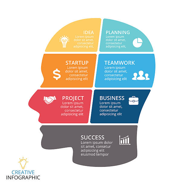Nice Head Flowchart 15,800+ Head Diagram Stock Photos, Pictures & Royalty-Free Images - iStock