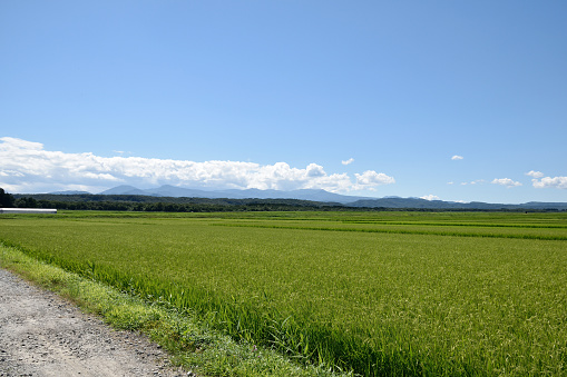 Rural landscape of Japan。