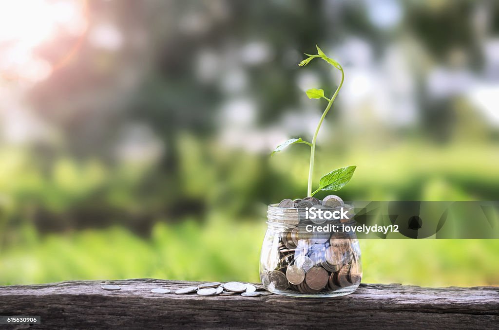 Konzept Geld wachsen und kleiner Baum in Glas - Lizenzfrei Natur Stock-Foto