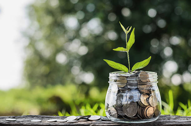 istock concept money growing and small tree in jar 615630978