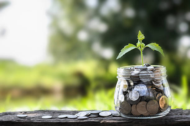istock concept money growing and small tree in jar 615631036