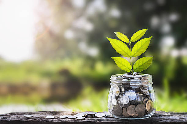istock concept money growing and small tree in jar 615631166