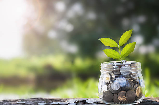 istock concept money growing and small tree in jar 615631268