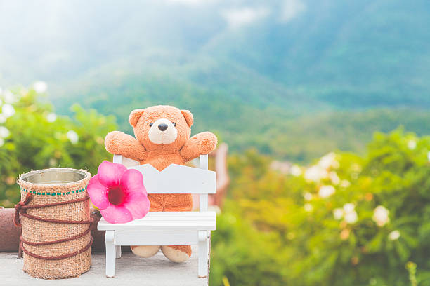 Vacation teddy bear relaxation nature background pastel colour