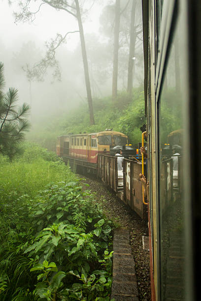 Monsoon affair with the queen of hills Shimla Shimla, India - July 29, 2016:  A toy train on the way to Shimla from Kalka, passing through the beautiful Himalayan mountains of Himachal Pradesh,India. It's a UNESCO world heritage popular tourist destination. shimla stock pictures, royalty-free photos & images