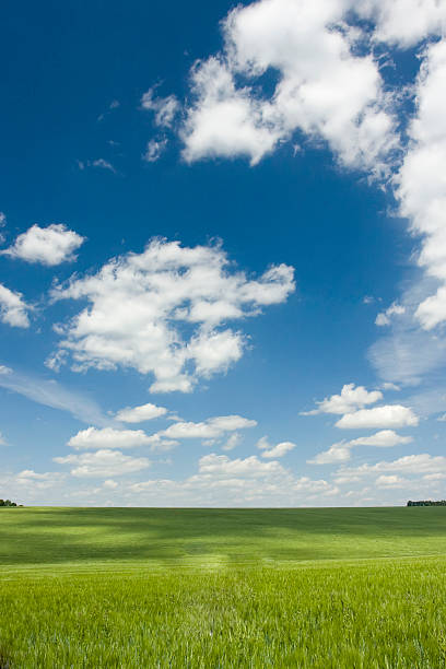 istock green field and blue sky 615637692