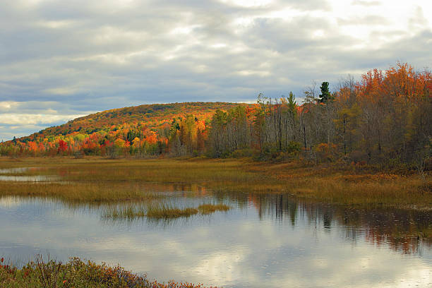 istock Autumn colors in Michigan 615637808