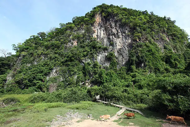 a landscape allround the Buddha Cave of Tham Pa Fa near the city of Tha Khaek in central Lao in the region of Khammuan in Lao in Souteastasia.