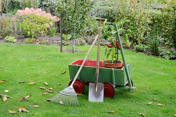 istock Garden - handcart - Gardening 615639970