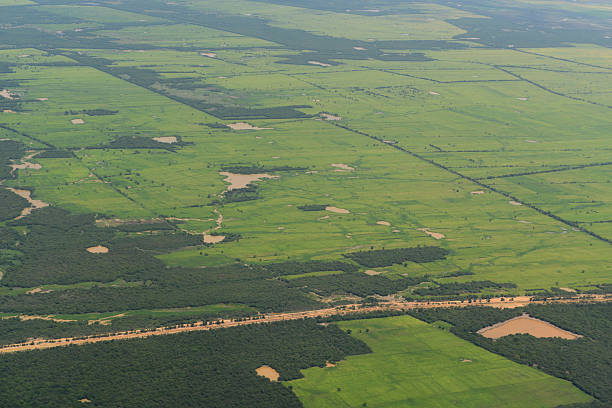 istock ASIA CAMBODIA SIEM RIEP TONLE SAP 615641364