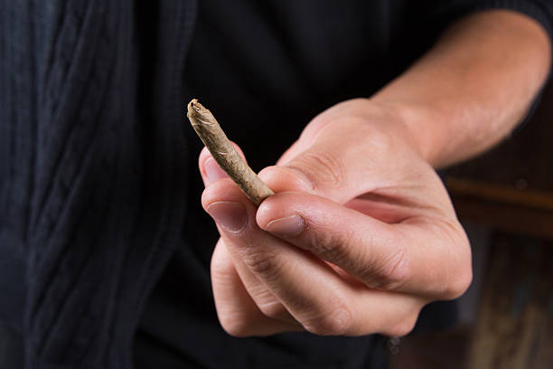 istock Marijuana joints in the mans hand. Man offering drugs 615702808