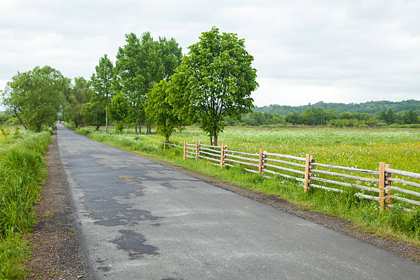 istock Country road with trees and fence 615703876