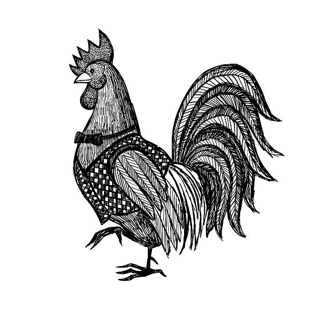 Hand drawn Rooster in sketch style isolated on white background. Vector illustration. Farm animal