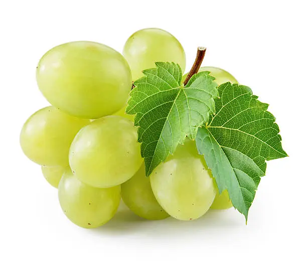 Photo of Green grape with leaf isolated on white. With clipping path.