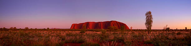 uluru dawn panorama - australian culture scenics australia panoramic stock-fotos und bilder