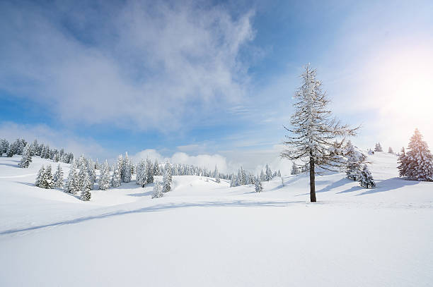 istock Sunny Day In The Mountains 615709268