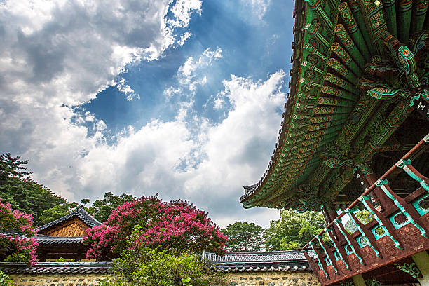 istock flowers of temple 615711562