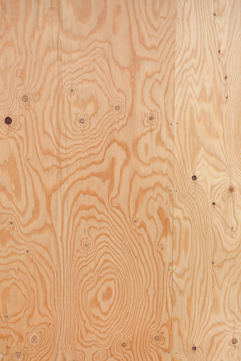Primer plano de los granos de madera photo