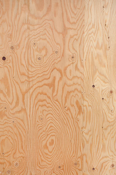 Close-up of wood grain