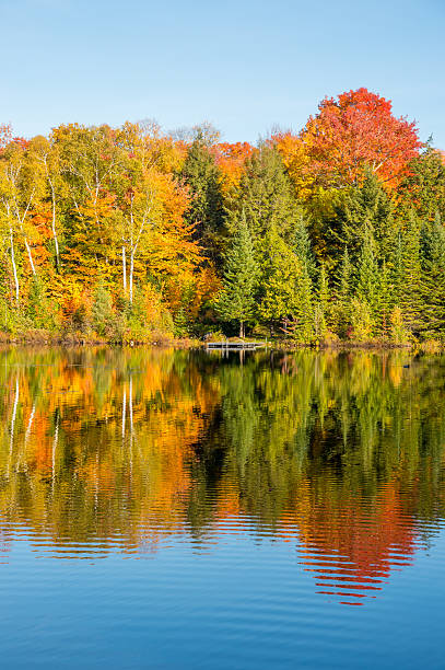 istock Autumn colors in Quebec, Canada 615716008