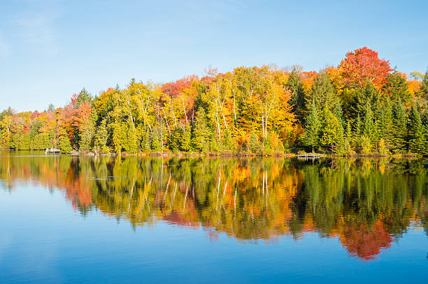 istock Autumn colors in Quebec, Canada 615716114