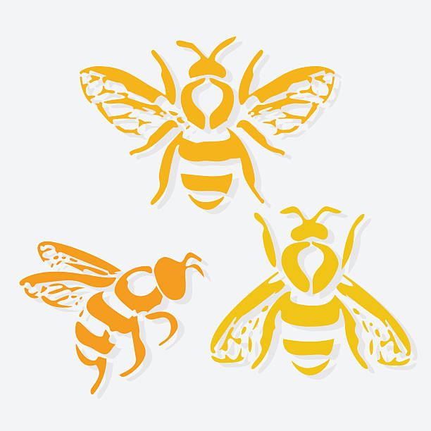 ilustrações de stock, clip art, desenhos animados e ícones de honey bee icon. vector illustration. - abelha de mel ilustrações