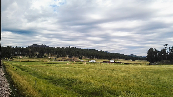 landscapr of farm beside the railway with some barn and feild South Dakota, USA 2016